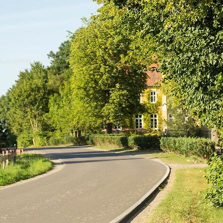 Naturnahes, Neu Moebl.Apartment, Hundefreundlich Neu Gaarz Εξωτερικό φωτογραφία