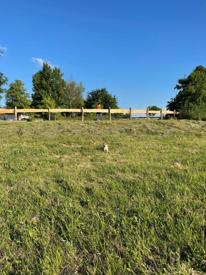 Naturnahes, Neu Moebl.Apartment, Hundefreundlich Neu Gaarz Εξωτερικό φωτογραφία
