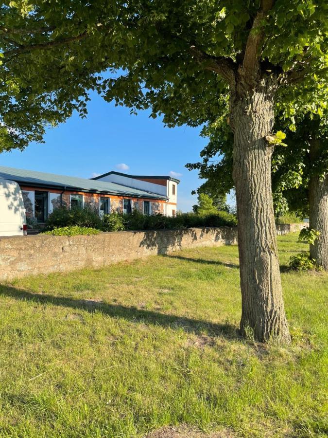 Naturnahes, Neu Moebl.Apartment, Hundefreundlich Neu Gaarz Εξωτερικό φωτογραφία